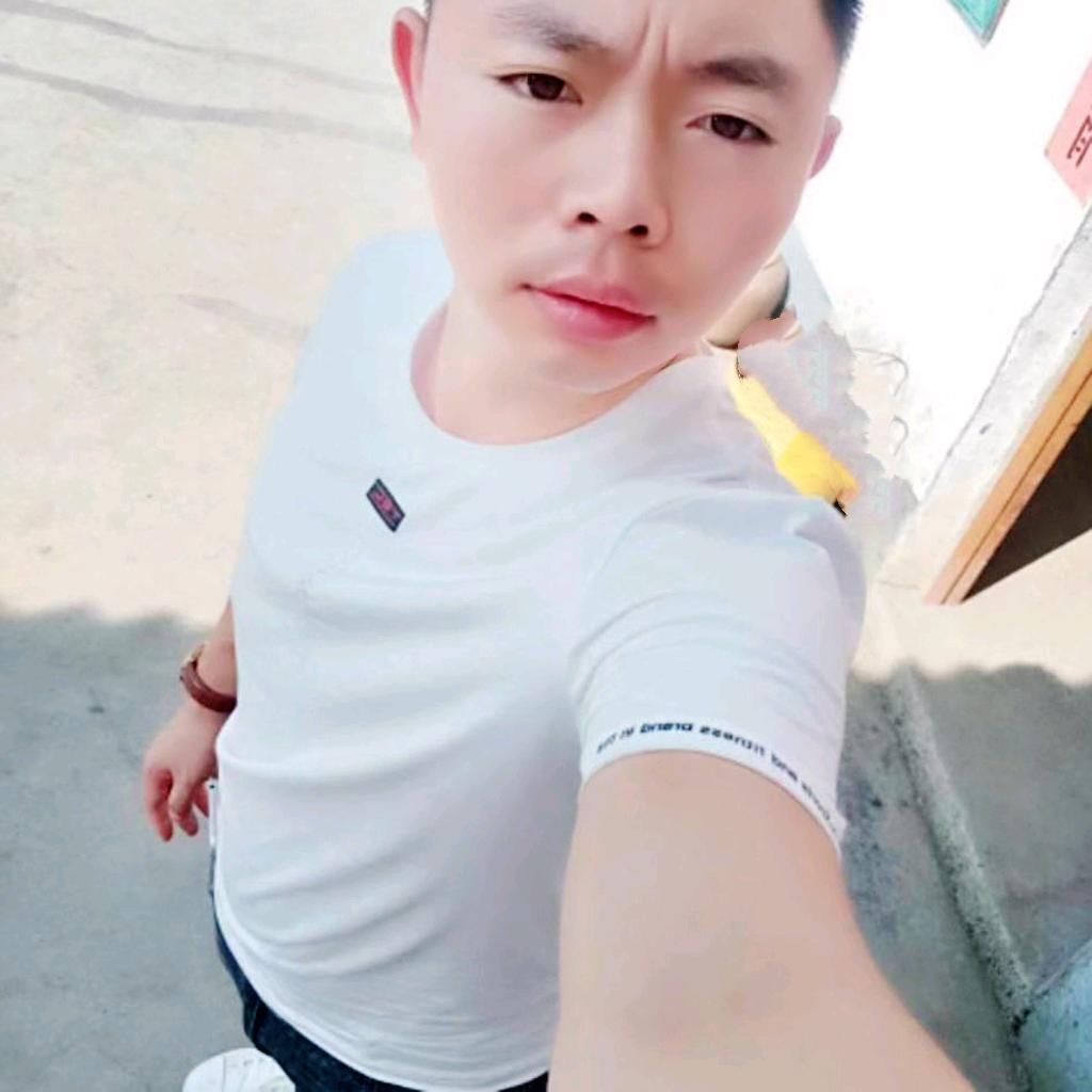 旅行的二毛
