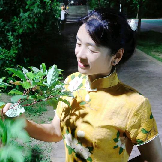 棒棒糖