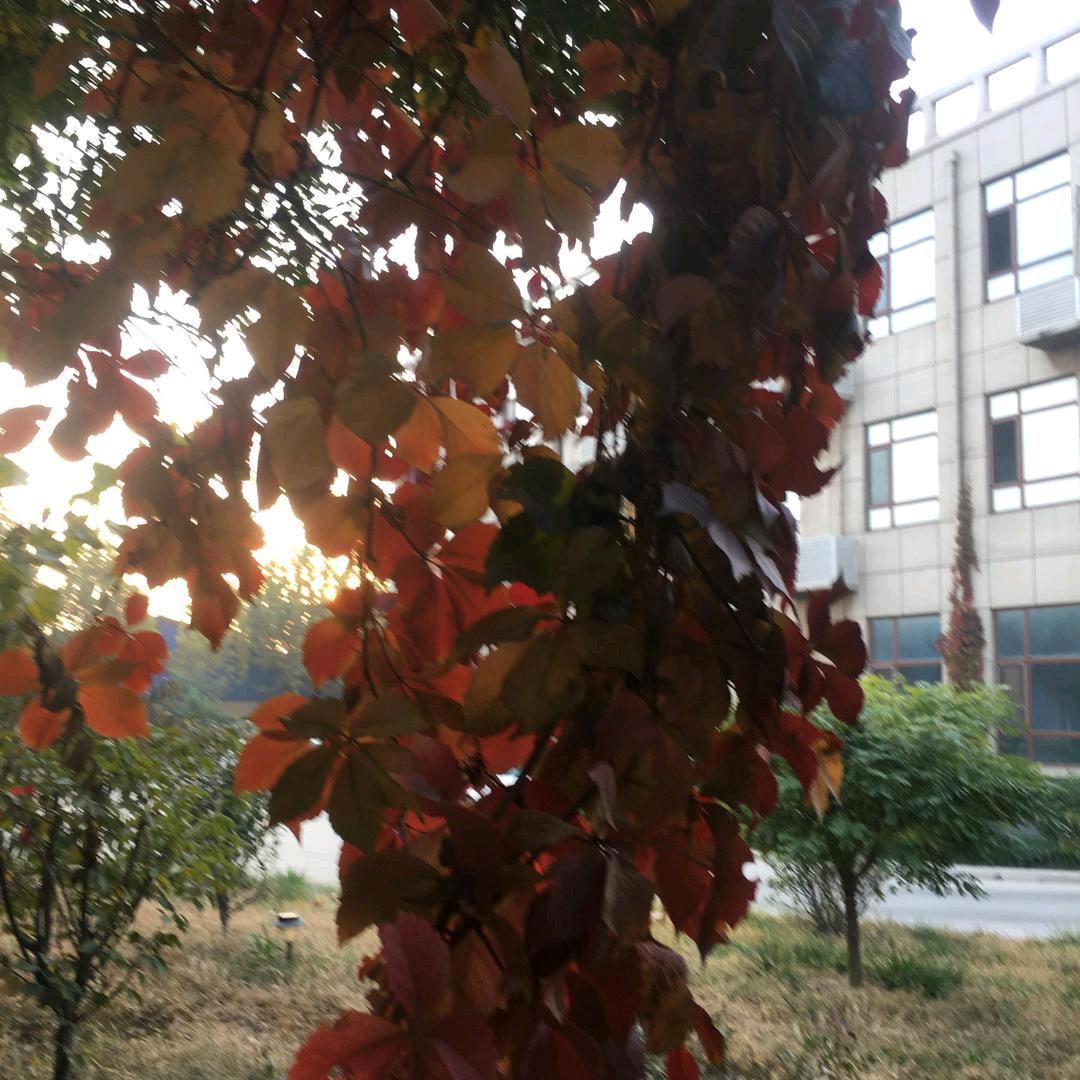 (☆_☆)兜兜转转€^_^