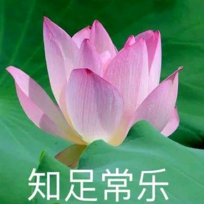 源B