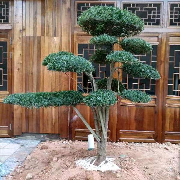 天还没有亮