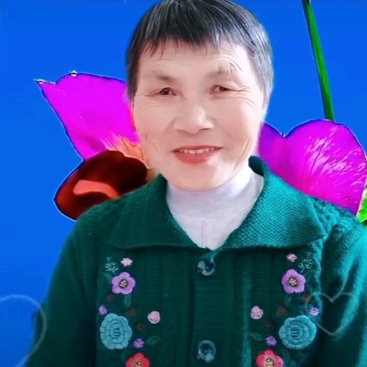 刘姐  菊花