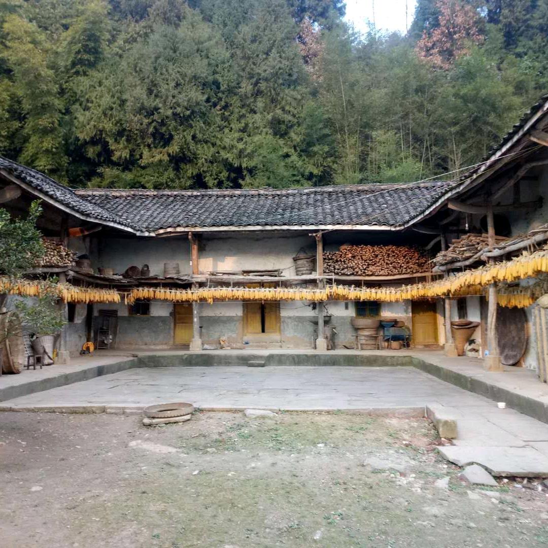 小石头