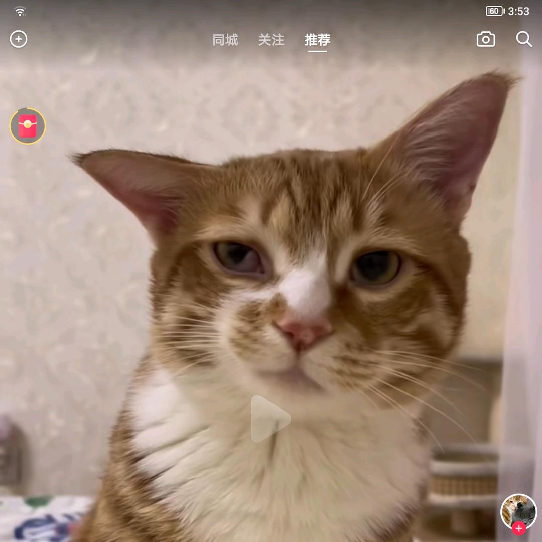 🌈帅锅锅锅锅🐠