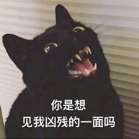 内向 偏瘦