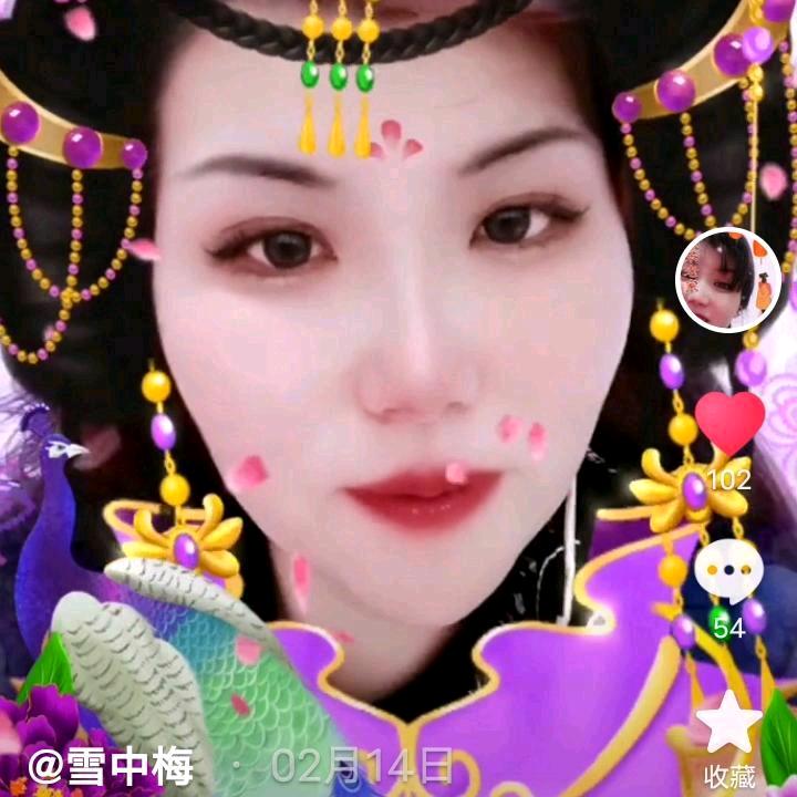 雪中梅好物分享