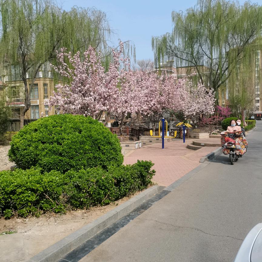 农家小院，自娱自乐。