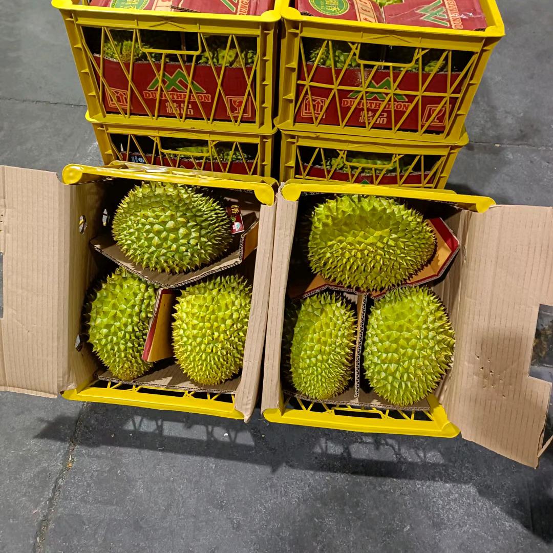 批发榴莲菠萝蜜。港口直发