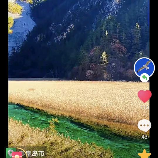 张元明