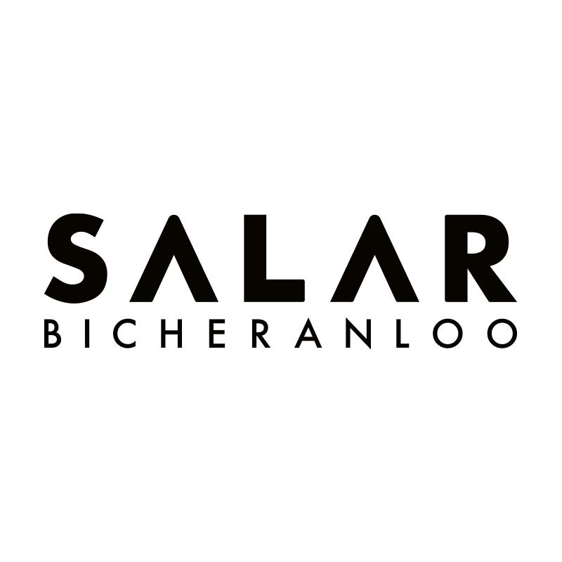 SALAR BICHERANLOO德津实业发展（深圳）有限公司箱