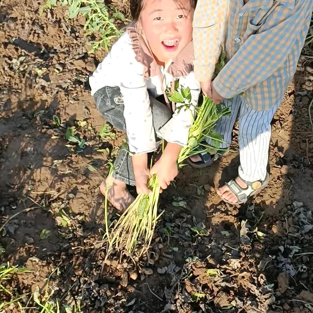 日用百货