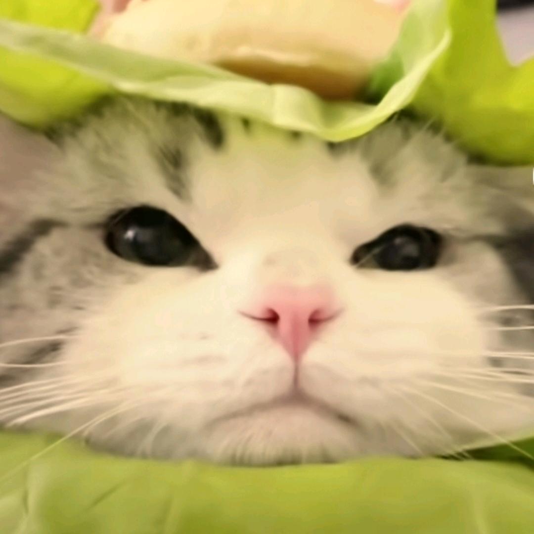 林雅雯