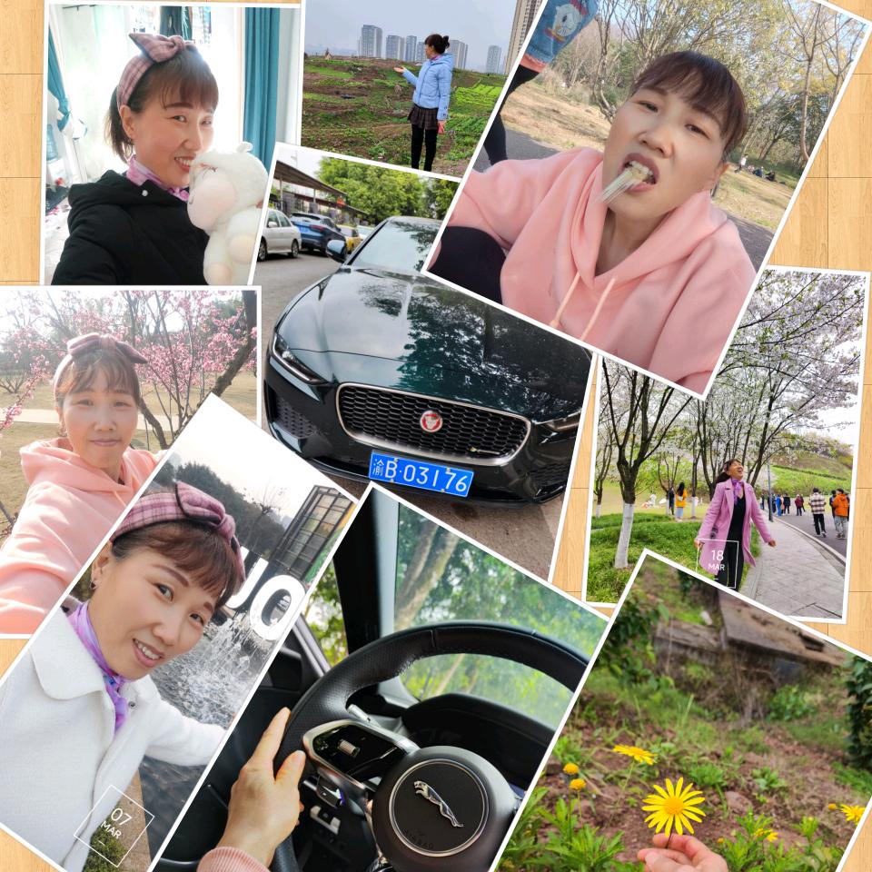 ，春天滴花，春天滴阳光明媚，春天滴雨，