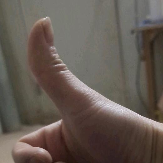 一只肖可爱