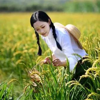 米苏苏[同款在橱窗]
