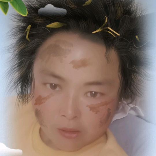 四不像运输