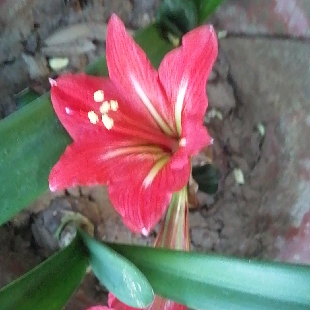 我的地盘我做主