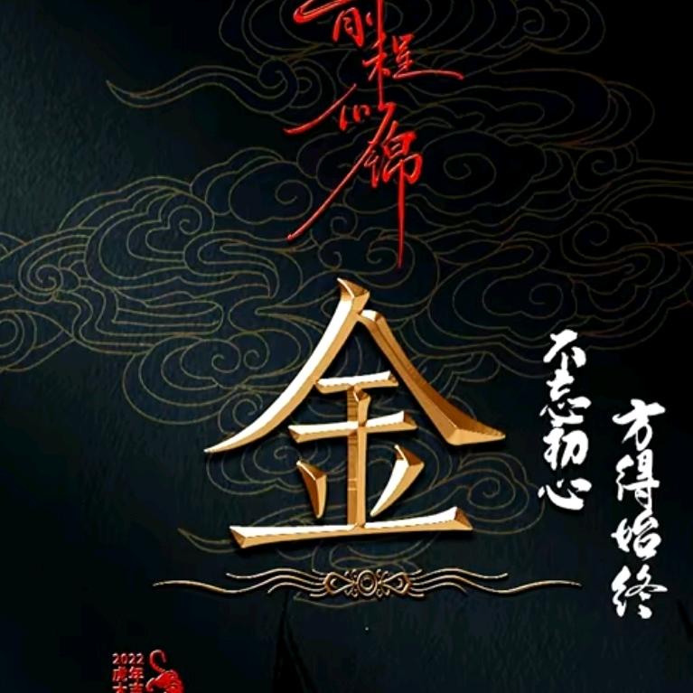 @鑫鑫向荣头像
