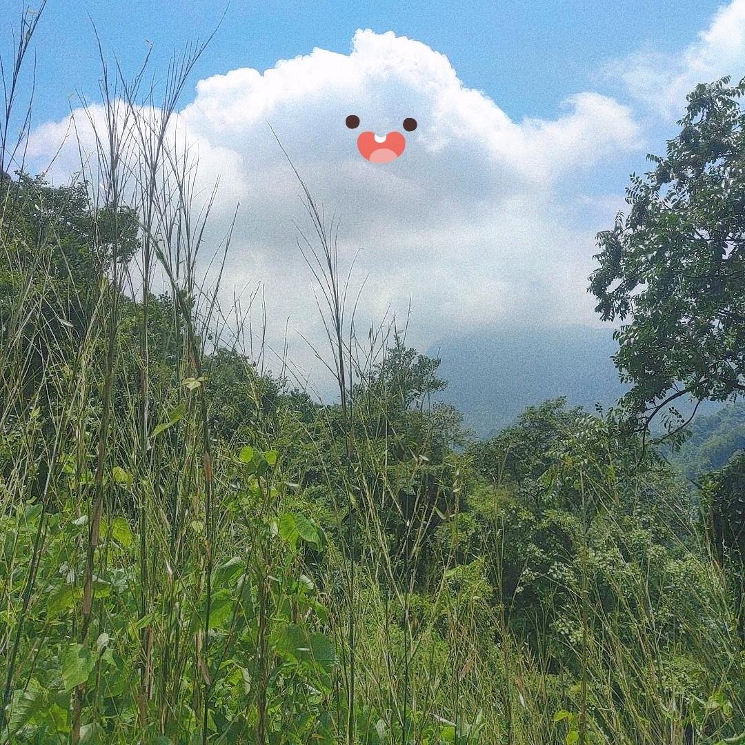 毛小绒