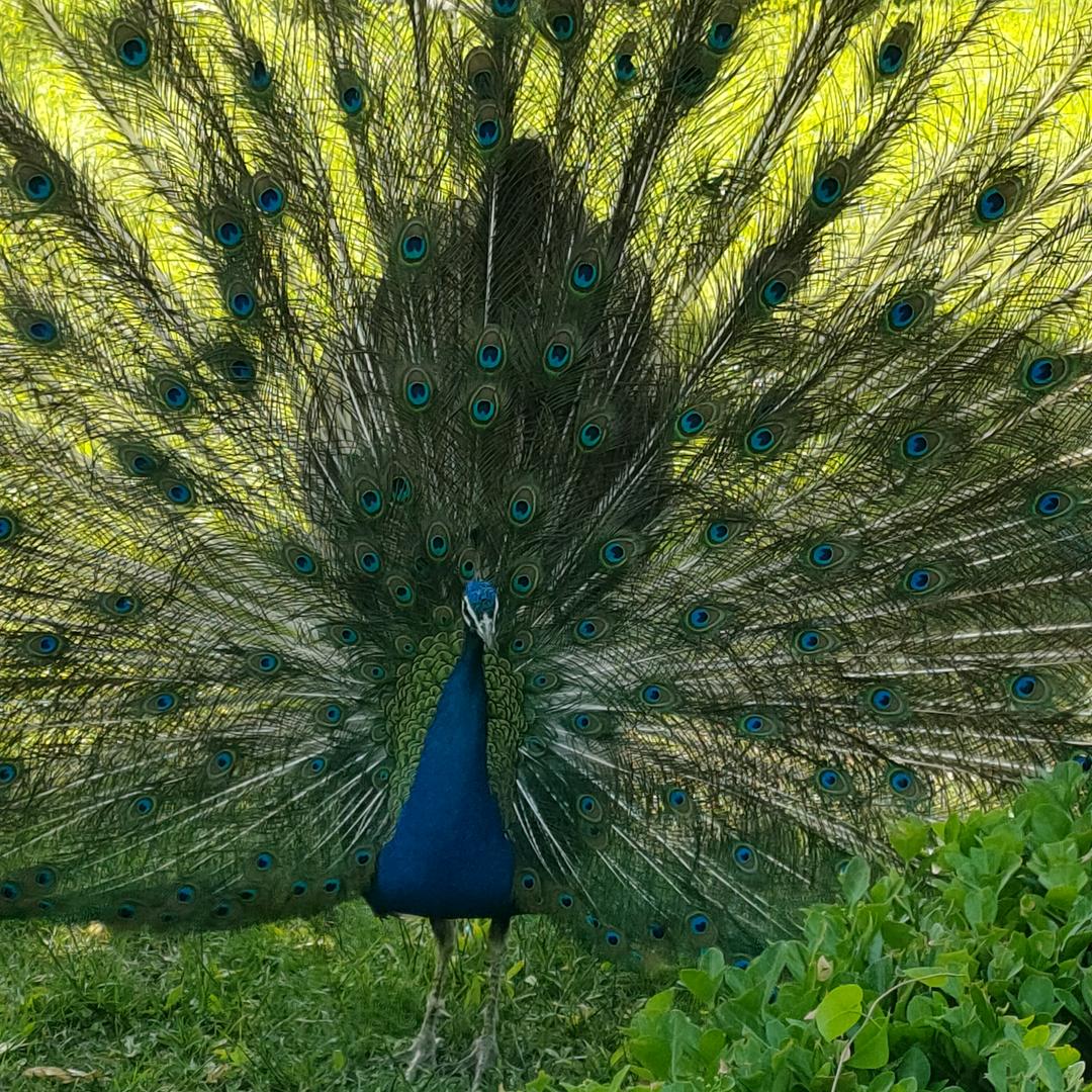 💞桭旭麻麻💞