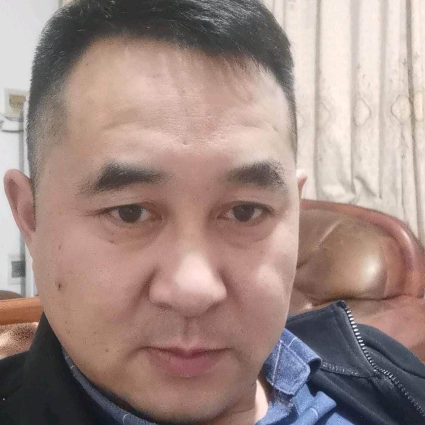 雁南飞