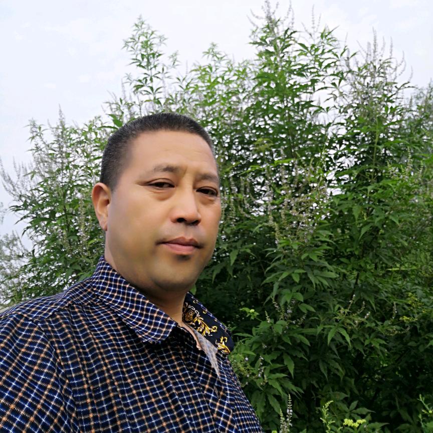 野草<说长论短王快嘴>