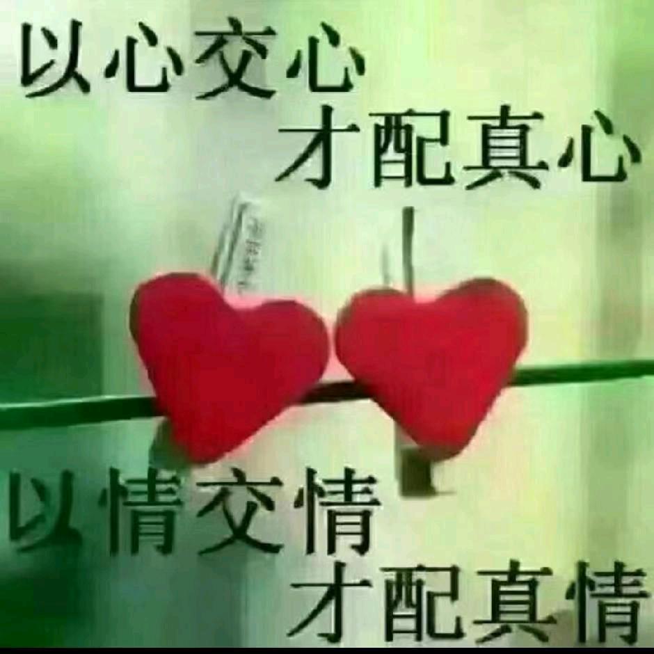 宇头