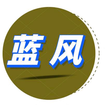 蓝风零食