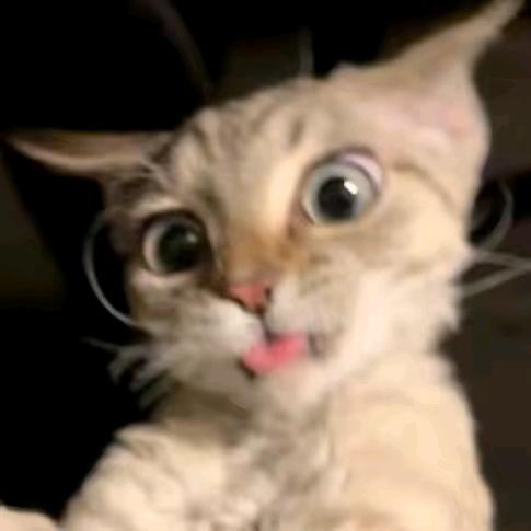 古娜拉黑脸王子