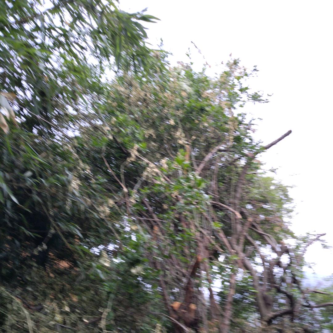 了没
