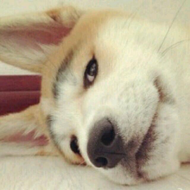 溧南苏