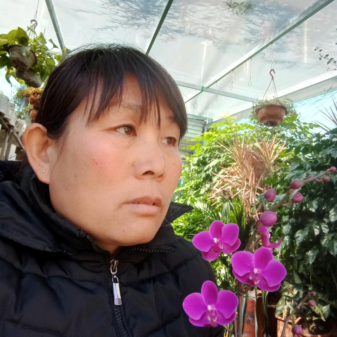 居家城一号街润成花店