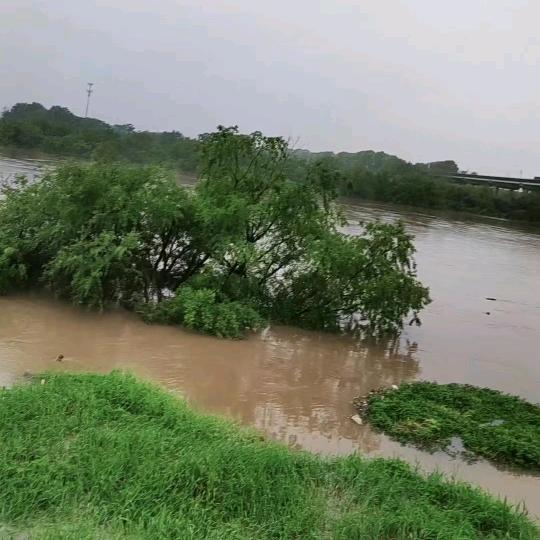 清纯（xx1525705823号开播