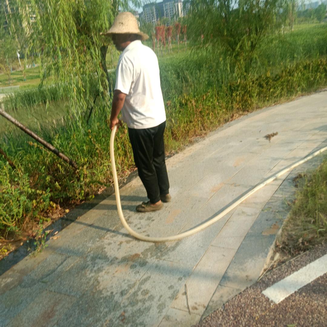 老杜