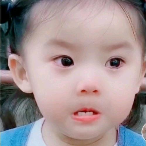 朕射你无罪爱妃