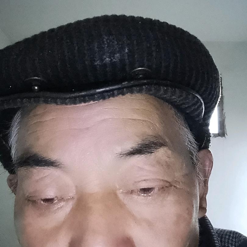 龙头山下的春天