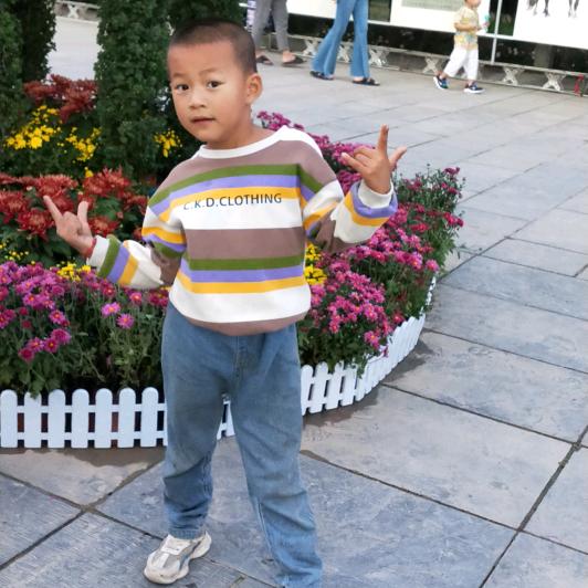 活的自由🌺🌺🌺