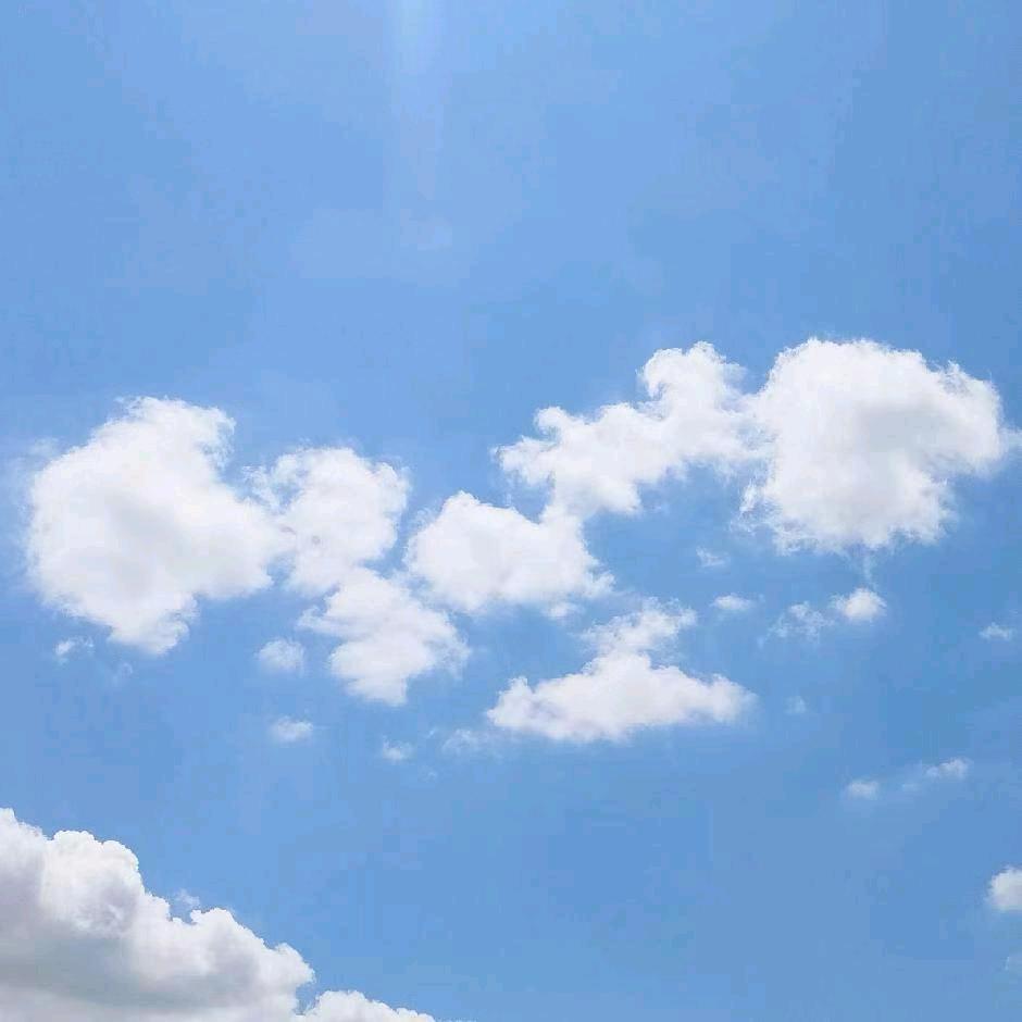 素琴