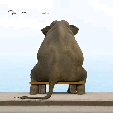 因吹丝挺手机用户68513682014