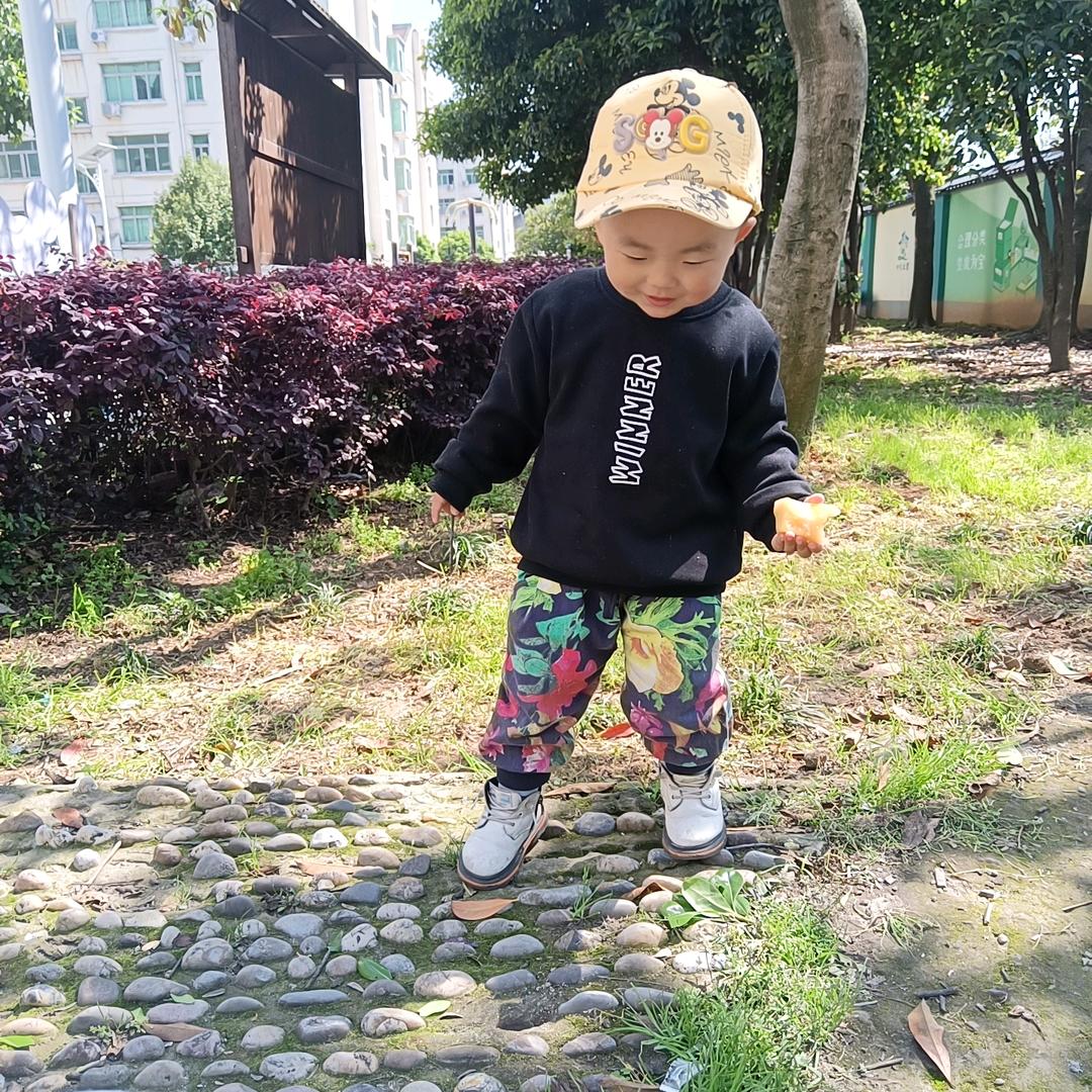 爱美食的小周周