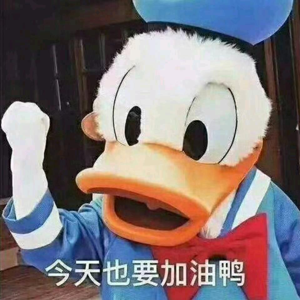 淘气可爱的皮特