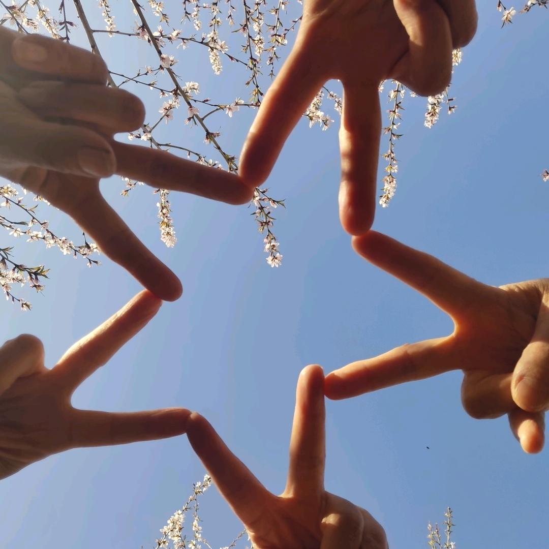 蓝雪花