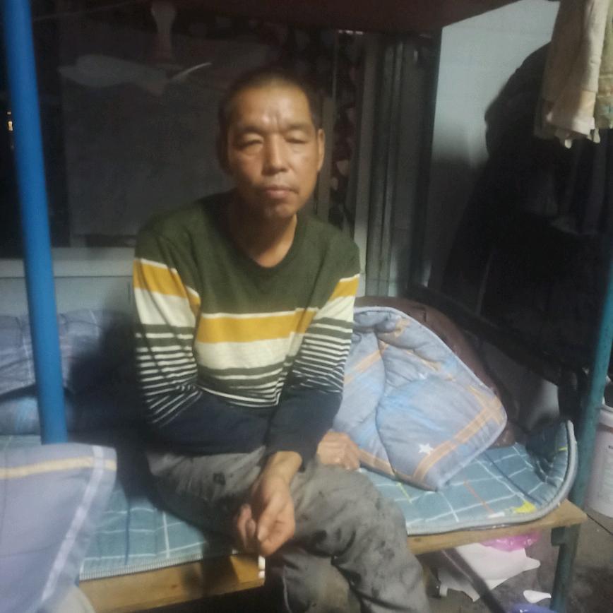 百凤朝阳