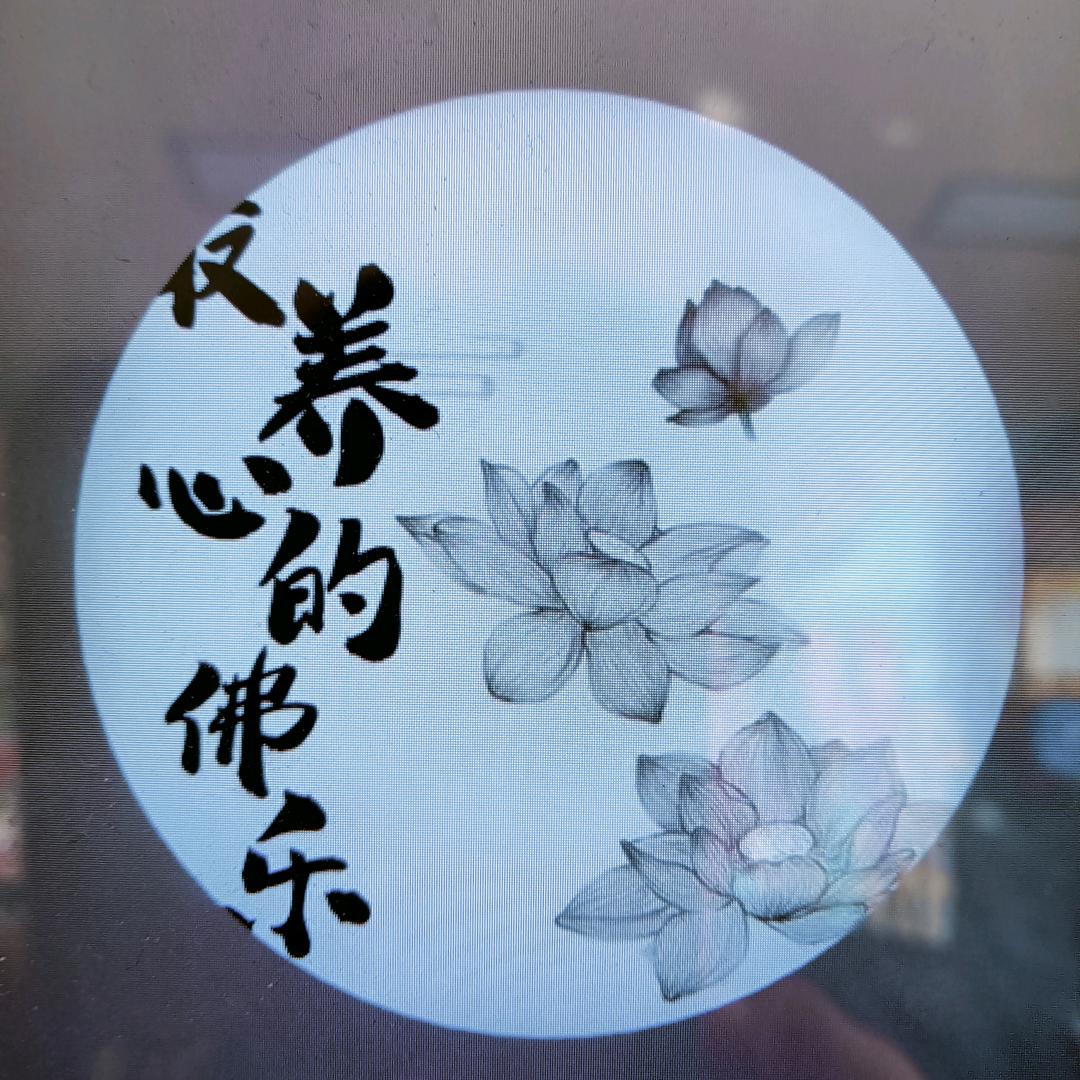 海燕小燕孑