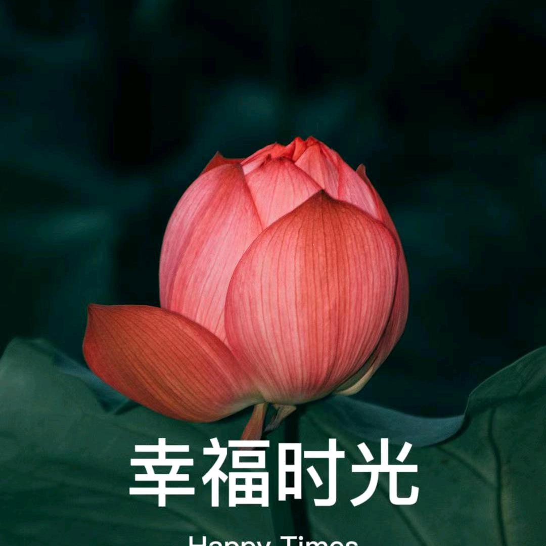 四个孙子的奶奶