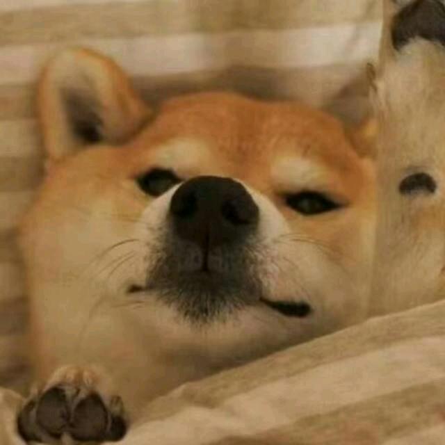 绿毛衣