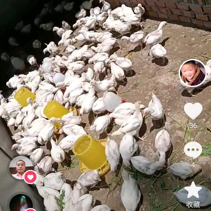 心里有你怎么说