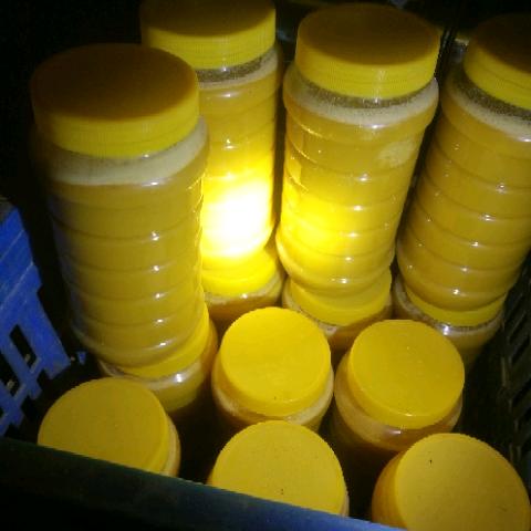 乡村纯正蜂蜜自产自销