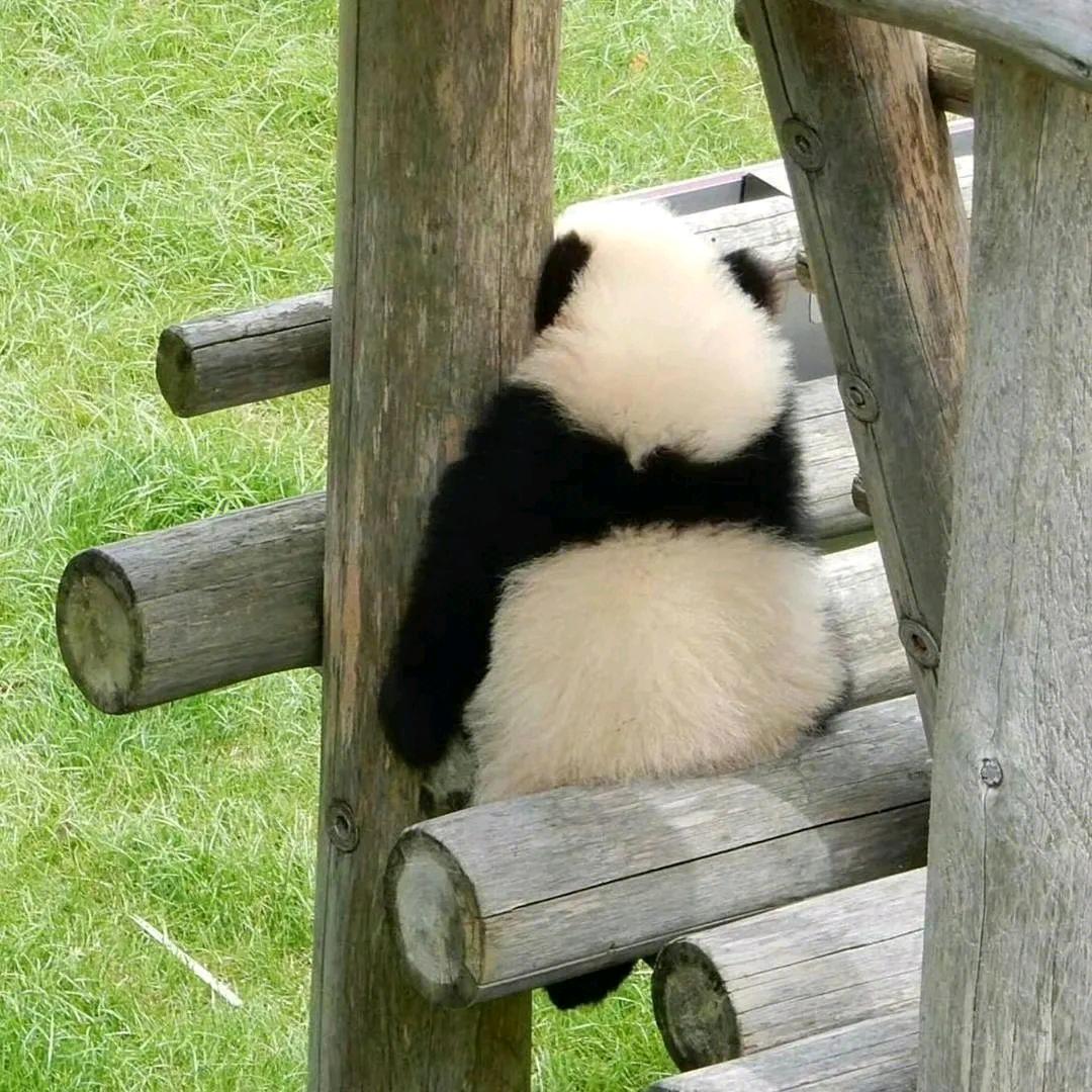 幼儿园的高材生🎒