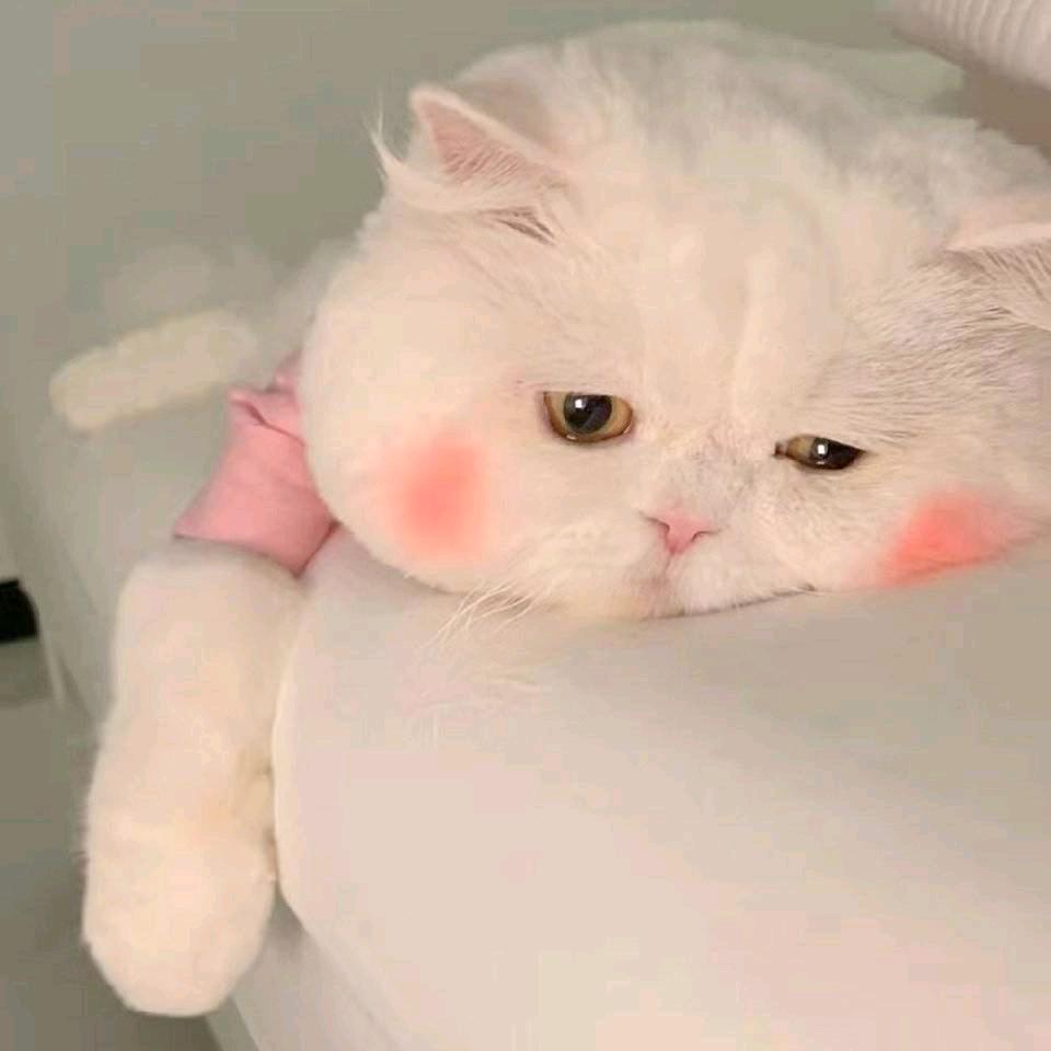 藍